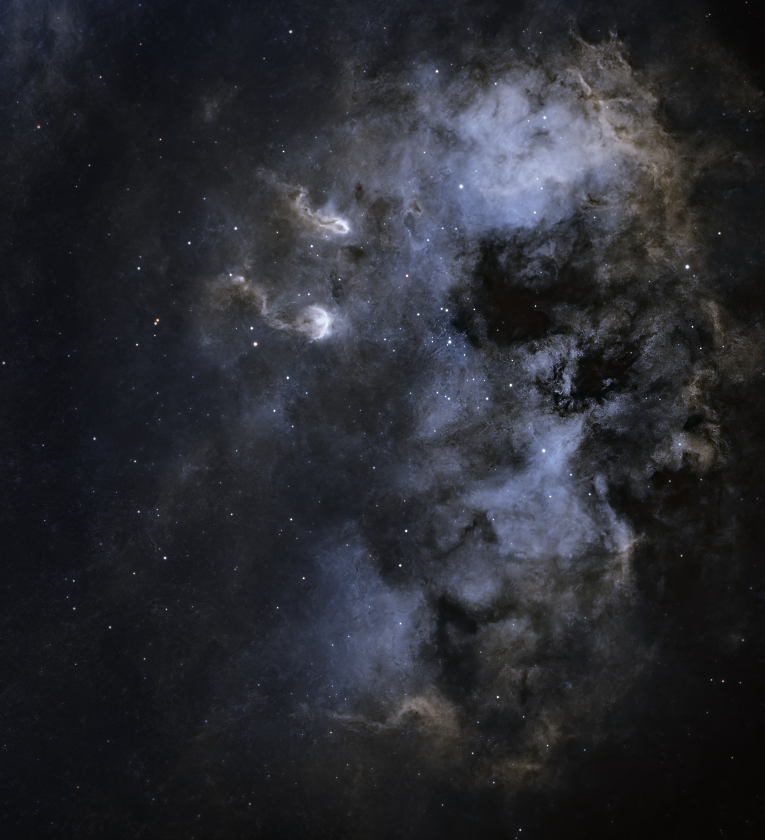 The Tadpoles Nebula (IC 410), a glowing star-forming region in Auriga, with two dense, elongated filaments of gas and dust resembling tadpoles swimming through a sea of red hydrogen emission.