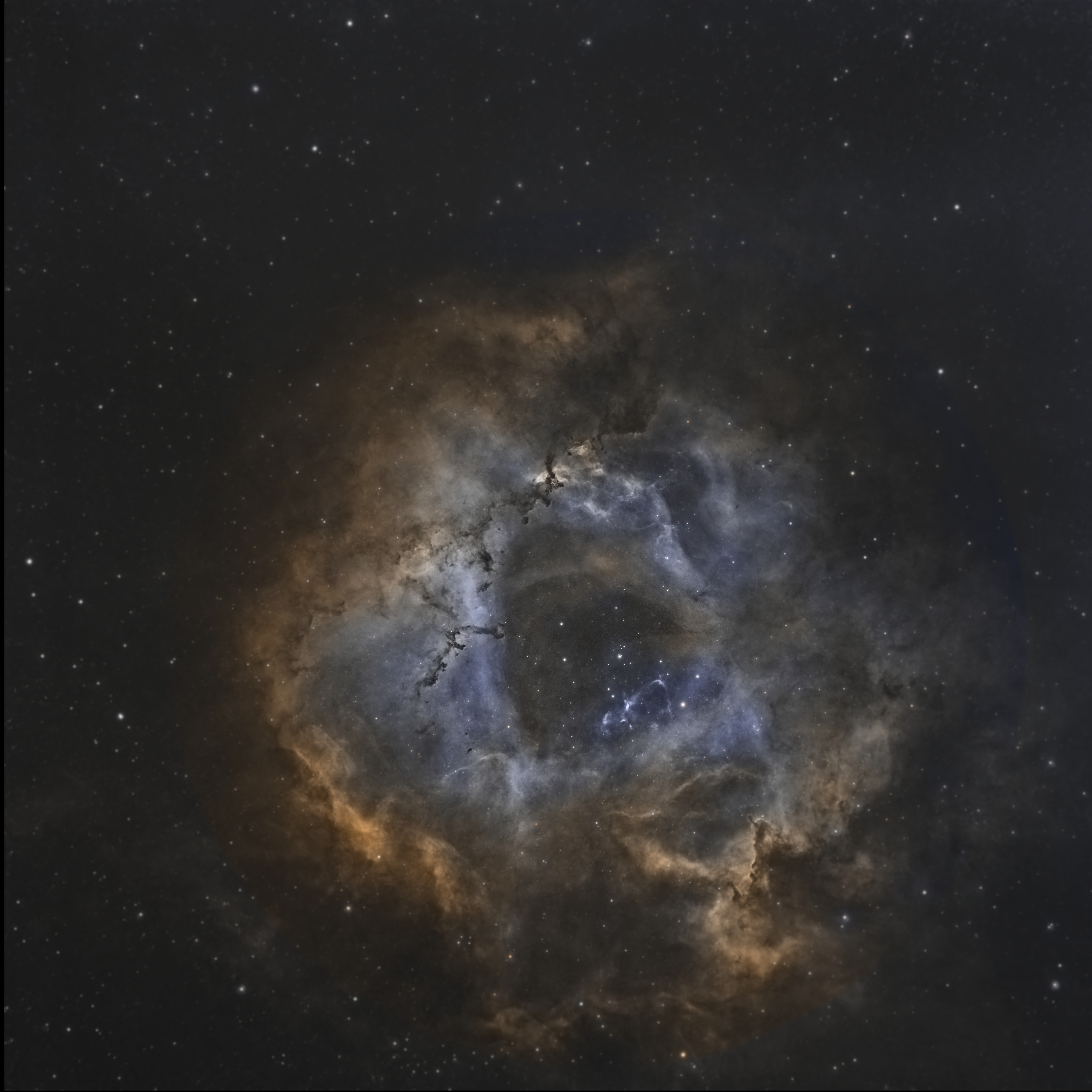 Wide-field view of the Rosette Nebula (Caldwell 49), showing a circular cluster of young stars surrounded by red hydrogen emission and intricate dark dust filaments in the constellation Monoceros.